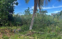 El Cosón, Samaná, Samaná Province 32000
