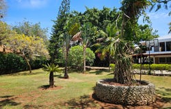 QF4R+49P, Cam. Del Llibre, Sosúa 57000, Dominican Republic, Sosúa, Puerto Plata Province 57000