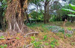 Cabarete, Puerto Plata Province