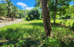 El Cosón, Samaná, Samaná Province 32000