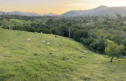 Unnamed Road, El Cedro (D. M.)., El Seibo Province 24000