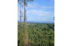 Autopista Cabrera - Nagua, Cabrera, María Trinidad Sánchez Province 33000