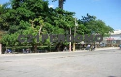 Las Terrenas, Samaná Province 32000