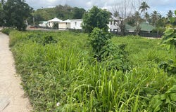 Las Terrenas, Samaná Province 32000