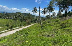 Samana, Samana, Samaná Province 32000