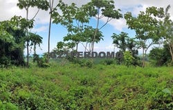 Las Terrenas, Samaná Province 32000