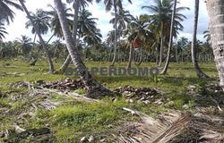 Las Terrenas, Samaná Province 32000