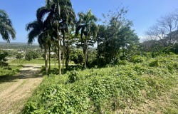 M8HX+55, Otra Banda 23000, Dominican Republic, La Otra Banda (D. M.)., La Altagracia Province 23000