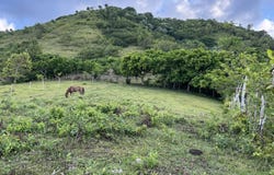 Unnamed Road, Las Lagunas de Nisibón, La Altagracia Province
