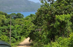 Playa Colorada, Samaná, Samaná Province 32000