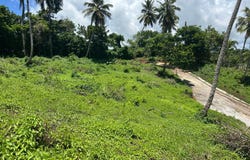 Samana, Samana, Samaná Province 32000