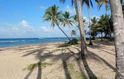 Bávaro, Higuey, La Altagracia Province 23000