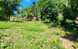 El Cosón, Samaná, Samaná Province 32000