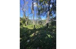38J8+4RM, Jarabacoa 41000, Dominican Republic, Jarabacoa, La Vega Province 41000