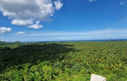 La Barbacoa, Samaná, Samaná Province 32000