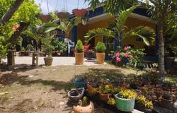Puerto Plata, Puerto Plata, Puerto Plata Province 57000