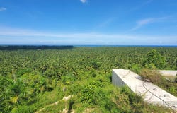 La Barbacoa, Samaná, Samaná Province 32000