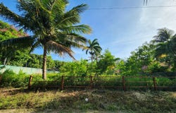 Cabarete, Puerto Plata Province