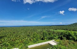 La Barbacoa, Samaná, Samaná Province 32000