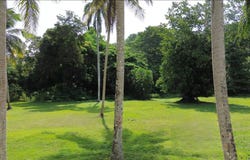 Las Terrenas, Las Terrenas, Samaná Province 32000