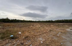 2300 Av. Alemania, Punta Cana, La Altagracia Province 23000