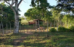Miches, El Seibo, El Seibo Province 24000