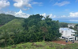 Las Terrenas, Samaná Province 32000