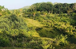 La Guázara, Samaná, Samaná Province 32000