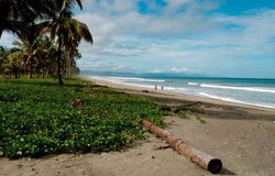 **NEW PRICE** 2.47 Acres of Prime Beachfront Land in Cojimies, Cojimies, Manabí