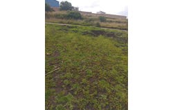 Development Parcel For Sale in Bolivar CARCHI TULCAN, Bolivar, Carchi