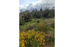 Your Peaceful Haven in the Heart of Nature â€“ Cotacachi Land for Sale, Cotacachi, Imbabura