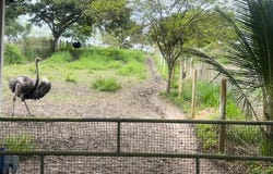 Lotización Maskana: Countryside, Mountain and Near the Coast Home Construction Site For Sale in Olón, Olón, Santa Elena