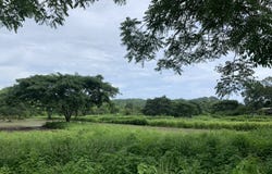 Olón Ecuador Land For Sale : Walking distance to town and some of the best surfing in Ecuador, Olón, Santa Elena