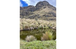 Nature Sanctuary in the Las Cajas Mountains, Cuenca, Azuay