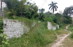 Off-Grid Jungle Homesite Near Mashpi River - 485m² of Tropical Potential, Mashpi, Pichincha