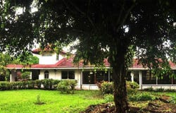 211-Hectare Cattle Farm for Sale in the Galápagos, Puerto Ayora, Galápagos