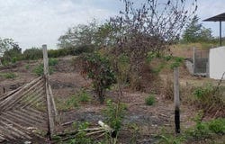 Ciudadela Colcachita junto a la Ciudadela Eloy Alfaro sn, Sur de Jipijapa, Jipijapa, Manabí,, Manabí