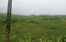Countryside Home Construction Site For Sale in Duran, Duran, Guayas