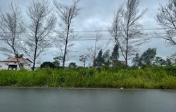 **NEW PRICE** 2.47 Acres of Prime Beachfront Land in Cojimies, Cojimies, Manabí