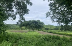 Olón Ecuador Land For Sale : Walking distance to town and some of the best surfing in Ecuador, Olón, Santa Elena