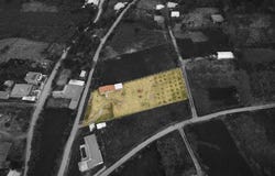 Land with Home and Fruit Trees in Belén, Malacatos, Malacatos, Loja