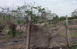 Ciudadela Colcachita junto a la Ciudadela Eloy Alfaro sn, Sur de Jipijapa, Jipijapa, Manabí,, Manabí