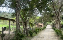 Lotización Maskana: Countryside, Mountain and Near the Coast Home Construction Site For Sale in Olón, Olón, Santa Elena