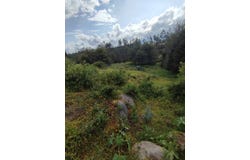 Your Peaceful Haven in the Heart of Nature â€“ Cotacachi Land for Sale, Cotacachi, Imbabura