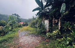 Off-Grid Jungle Homesite Near Mashpi River - 485m² of Tropical Potential, Mashpi, Pichincha