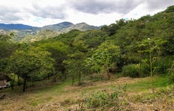 Lot for Sale in Yupaichani, San José â€“ Vilcabamba, Vilcabamba, Loja