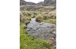 Nature Sanctuary in the Las Cajas Mountains, Cuenca, Azuay