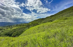 Expansive 2500 m² Lot for Sale in Malacatos - Breathtaking Views, Privacy, and Potential, Malacatos, Loja