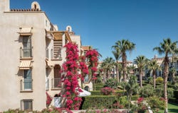2VQG+48V, Hurghada 1, Red Sea Governorate 1960713, Egypt, Hurghada, Red Sea Governorate
