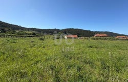 Pontevedra, Galicia 36969